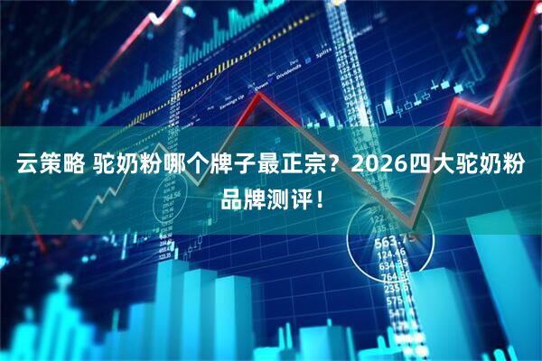 云策略 驼奶粉哪个牌子最正宗？2026四大驼奶粉品牌测评！