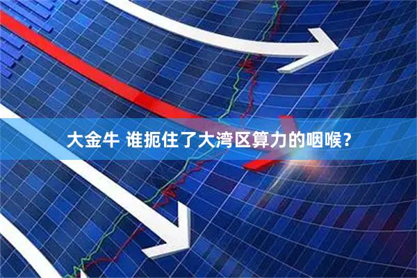 大金牛 谁扼住了大湾区算力的咽喉？