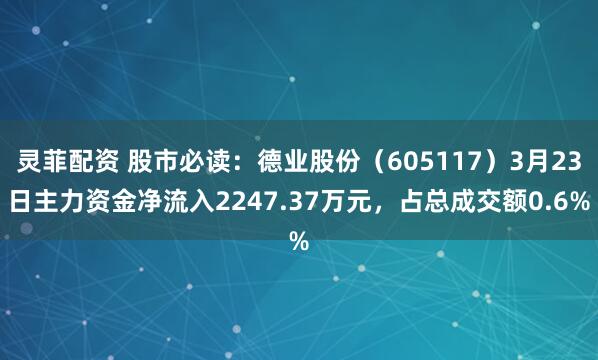 灵菲配资 股市必读：德业股份（605117）3月23日主力资金净流入2247.37万元，占总成交额0.6%