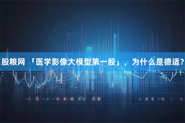 股粮网 「医学影像大模型第一股」，为什么是德适？