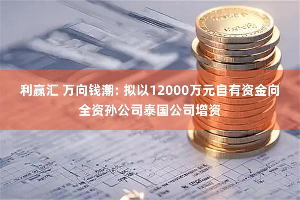 利赢汇 万向钱潮: 拟以12000万元自有资金向全资孙公司泰国公司增资