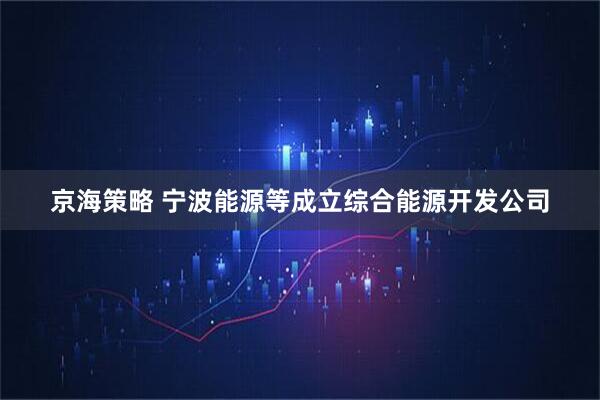 京海策略 宁波能源等成立综合能源开发公司