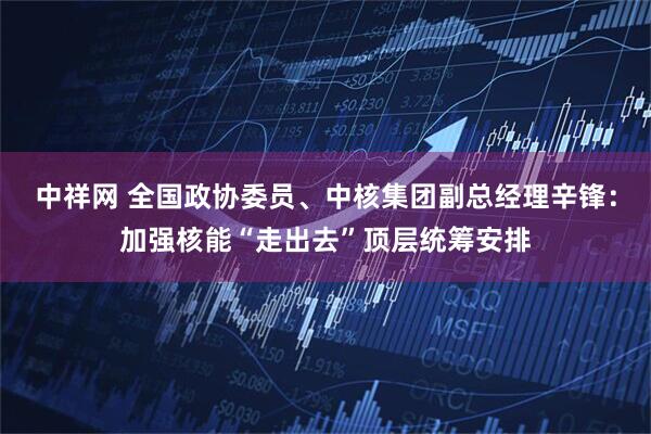 中祥网 全国政协委员、中核集团副总经理辛锋：加强核能“走出去”顶层统筹安排
