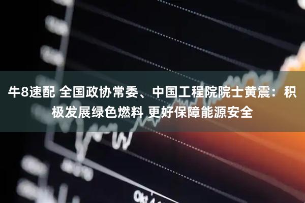 牛8速配 全国政协常委、中国工程院院士黄震：积极发展绿色燃料 更好保障能源安全