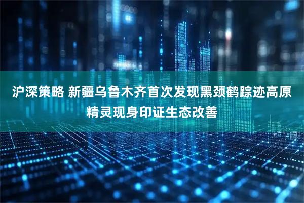 沪深策略 新疆乌鲁木齐首次发现黑颈鹤踪迹高原精灵现身印证生态改善