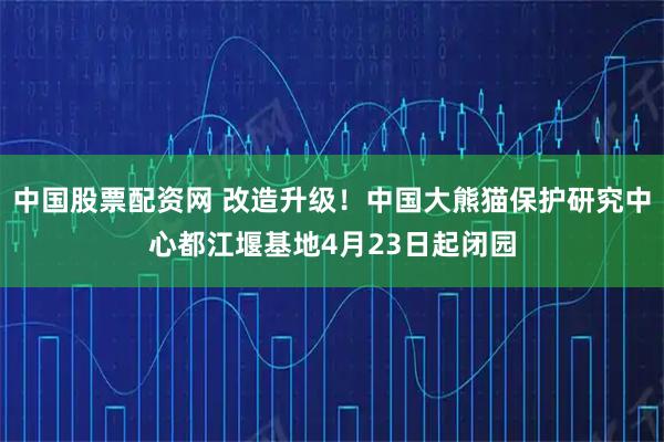 中国股票配资网 改造升级！中国大熊猫保护研究中心都江堰基地4月23日起闭园