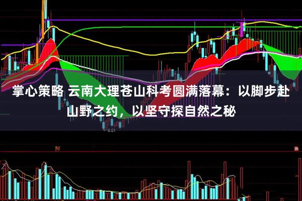 掌心策略 云南大理苍山科考圆满落幕：以脚步赴山野之约，以坚守探自然之秘