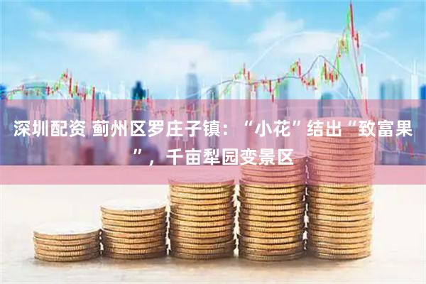 深圳配资 蓟州区罗庄子镇：“小花”结出“致富果”，千亩犁园变景区