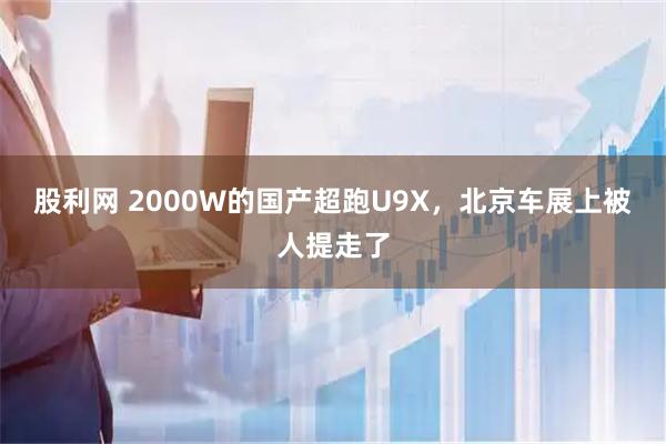 股利网 2000W的国产超跑U9X,北京车展上被人提走了