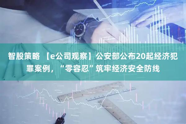 智股策略 【e公司观察】公安部公布20起经济犯罪案例，“零容忍”筑牢经济安全防线