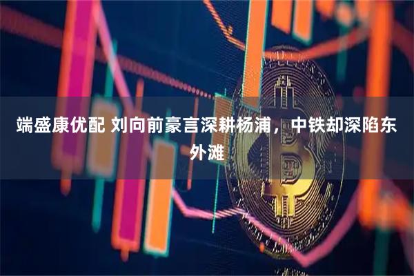 端盛康优配 刘向前豪言深耕杨浦，中铁却深陷东外滩