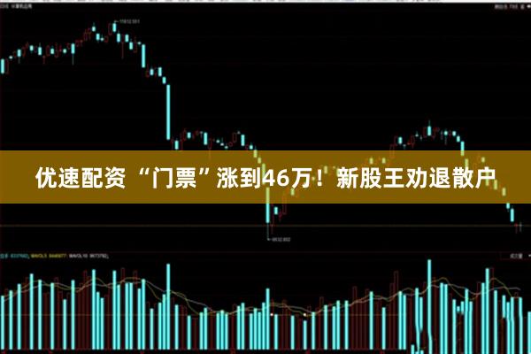 优速配资 “门票”涨到46万！新股王劝退散户